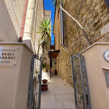 B&B Degli Aranci Palinuro Luaran gambar